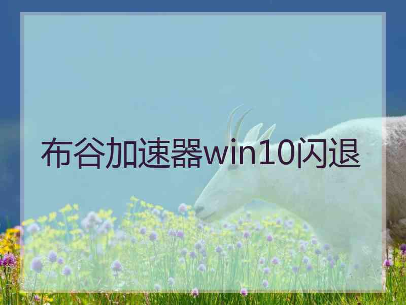 布谷加速器win10闪退